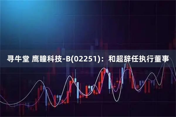 寻牛堂 鹰瞳科技-B(02251)：和超辞任执行董事