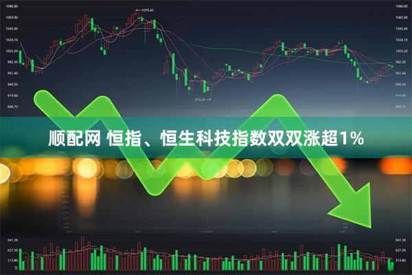 顺配网 恒指、恒生科技指数双双涨超1%